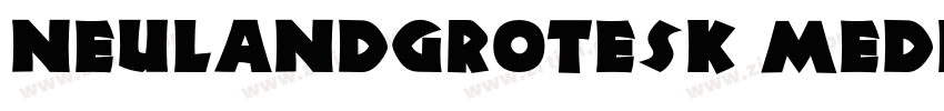 NeulandGrotesk Mediu字体转换